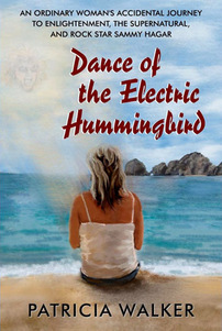 DANCE OF ELECTRIC HUMMINGBIRD COVER